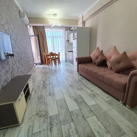 Lotus 7 Silver 公寓 *